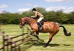 Wanborough Horse and Dog show